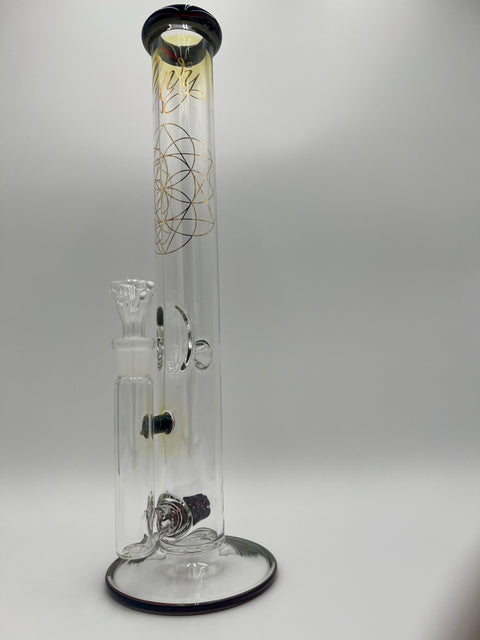 Envy Glass